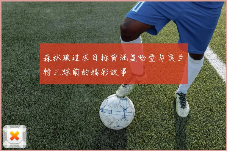 森林狼追求目标曾涵盖哈登与莫兰特三球前的精彩故事