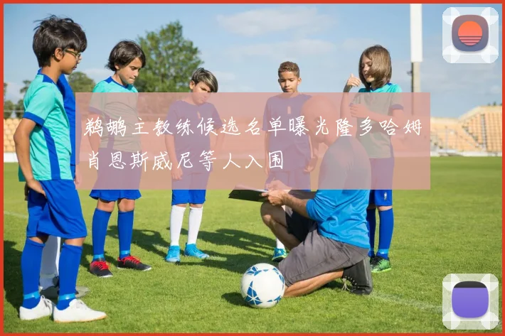 鹈鹕主教练候选名单曝光隆多哈姆肖恩斯威尼等人入围