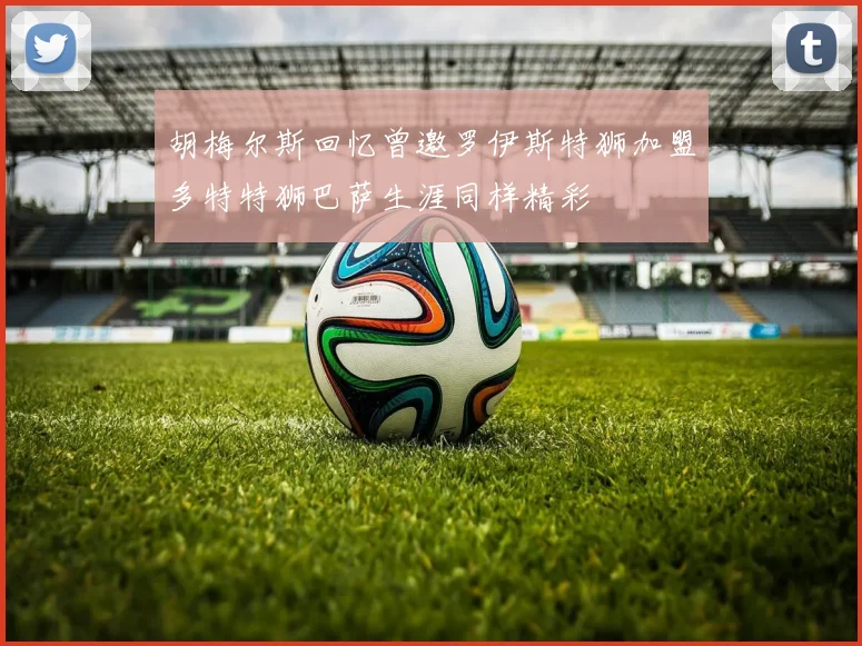 胡梅尔斯回忆曾邀罗伊斯特狮加盟多特特狮巴萨生涯同样精彩